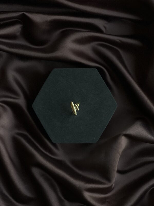 Tarnish-Free Golden Luxe Ring - Image 2