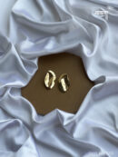 Golden Aesthetic Leaf Earring