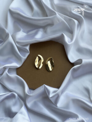 Golden Aesthetic Leaf Earring