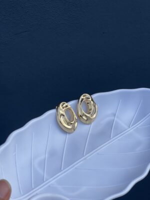 Classy Golden Glossy Earring