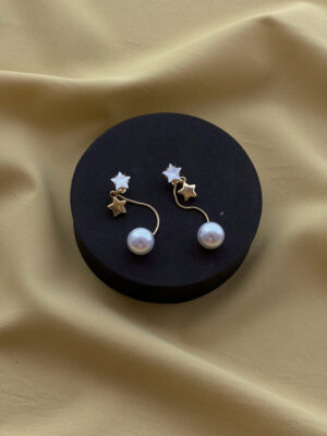 Dual Star Long Tail Earring