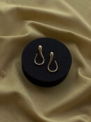 Dazzling Gold Hook Drop Earring